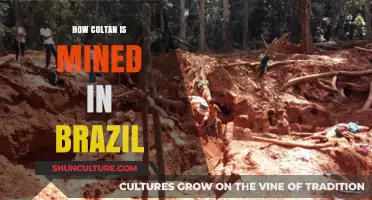 Brazil's Coltan Mining Process: Extraction, Challenges, and Environmental Impact
