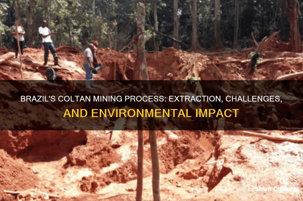 how coltan is mined in brazil