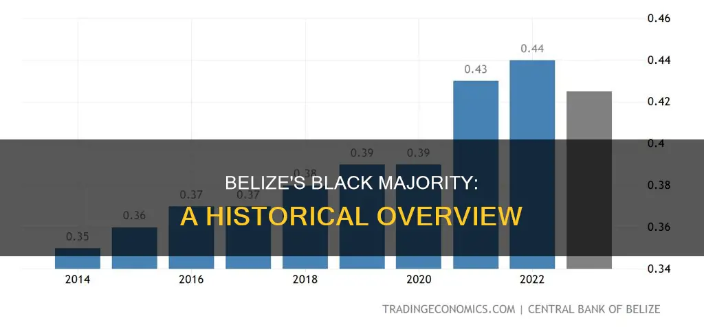 how come belize is majority black