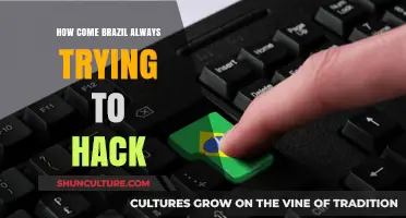 Brazil's Persistent Cyber Intrusions: Unraveling the Motives Behind the Hacks