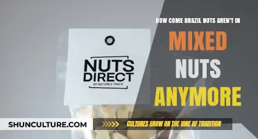 Why Brazil Nuts Vanished from Mixed Nuts: The Surprising Truth