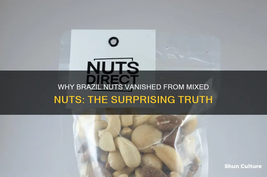 how come brazil nuts aren