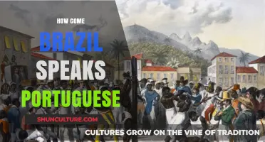 Why Brazil Speaks Portuguese: A Historical and Cultural Journey