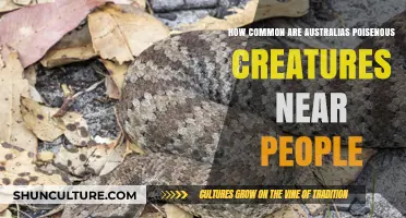 Deadly Neighbours: Australia's Poisonous Creatures Up Close