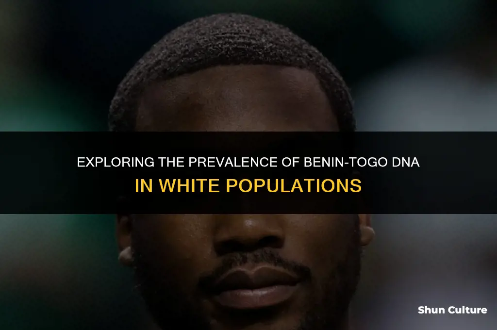 how common is benin togo dna in white people