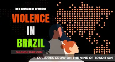 Domestic Violence in Brazil: Prevalence, Impact, and Urgent Solutions