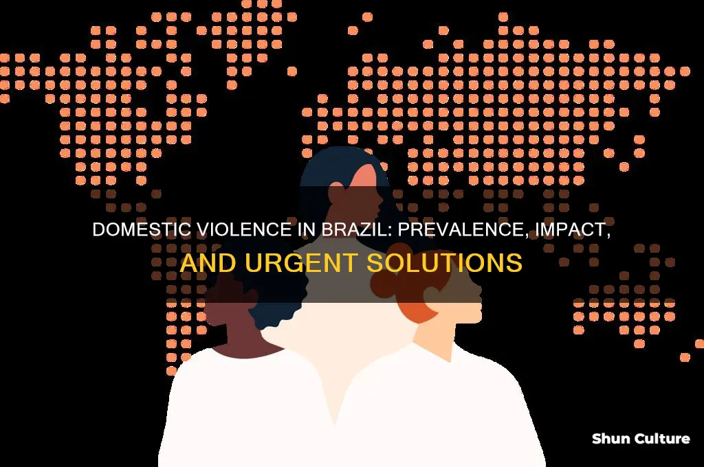 how common is demestic violence in brazil