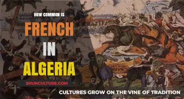 French in Algeria: Prevalence, Usage, and Cultural Significance Today