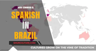 Spanish in Brazil: How Widespread is the Language?