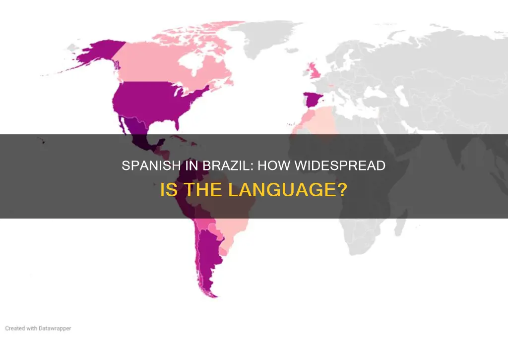 how common is spanish in brazil