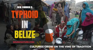 Typhoid Prevalence in Belize: Understanding the Risk