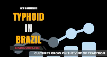 Typhoid in Brazil: Prevalence, Risks, and Public Health Insights