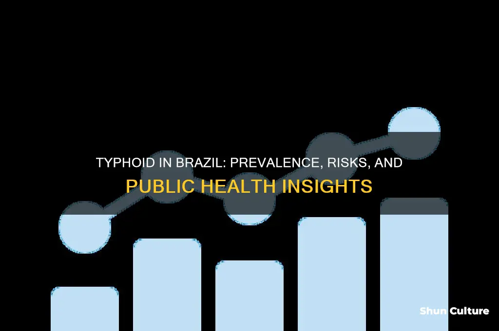 how common is typhoid in brazil