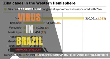 Zika Virus Prevalence in Brazil: Current Statistics and Trends