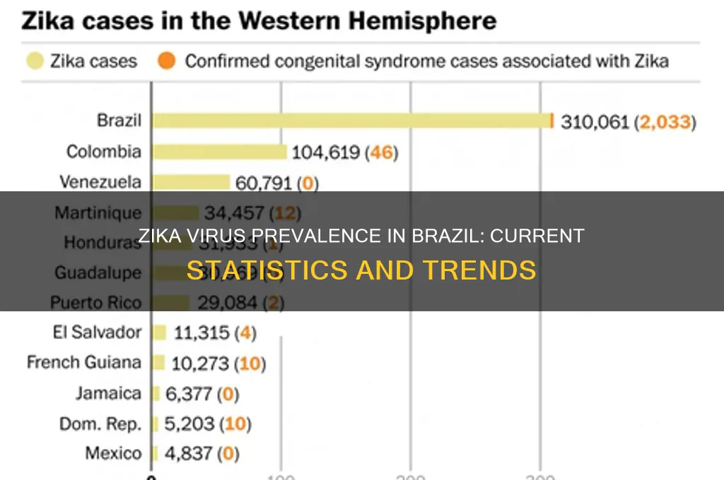 how common is zika virus in brazil