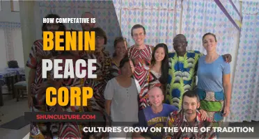 Exploring the Competitive Landscape of Benin's Peace Corps Programs