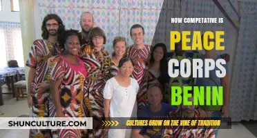 Exploring the Competitive Landscape of Peace Corps Benin