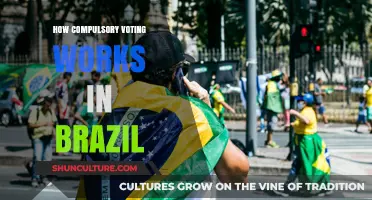 Understanding Brazil's Compulsory Voting System: How It Works and Why