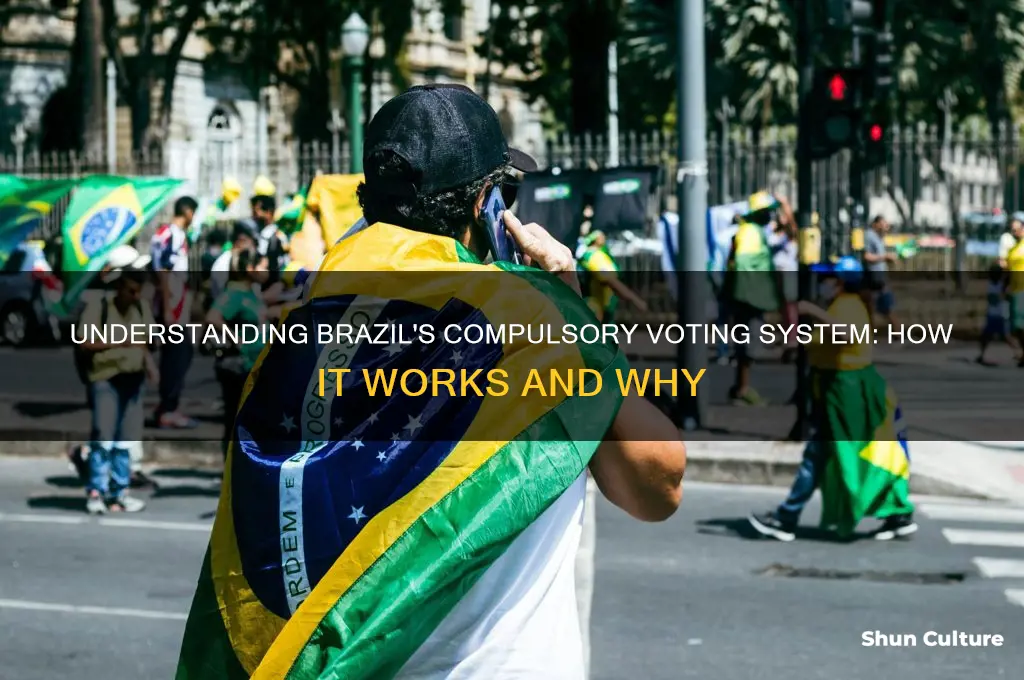how compulsory voting works in brazil
