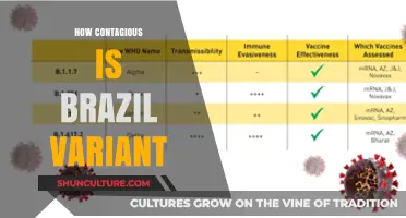 Brazil Variant Contagiousness: Understanding Transmission Risks and Precautions
