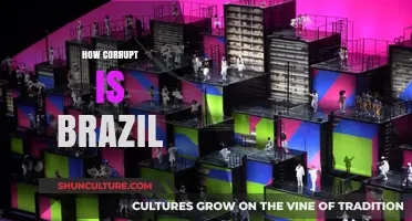 Unveiling Brazil's Corruption Crisis: Causes, Consequences, and Potential Reforms