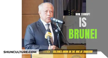 The Dark Secrets of Brunei's Corruption