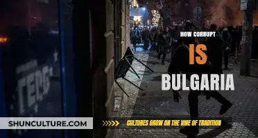 Unveiling the Shadows: Corruption in Bulgaria Exposed