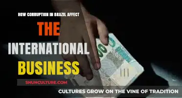 Brazil's Corruption Crisis: Impact on Global Business and Investment