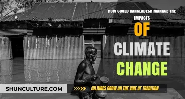 Bangladesh's Climate Resilience: Strategies to Mitigate and Adapt to Change