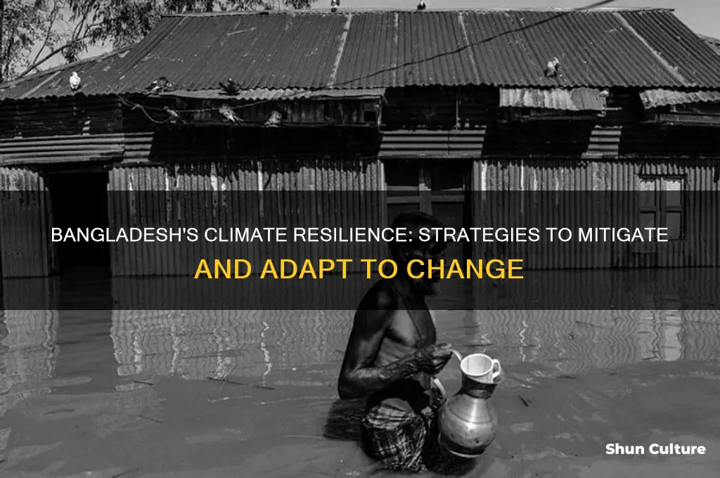 how could bangladesh manage the impacts of climate change
