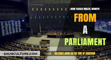 Strengthening Democracy: How a Parliament Could Transform Brazil's Governance