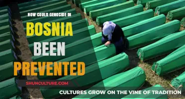 Preventing Bosnia's Genocide: Lessons from International Failures and Early Warnings