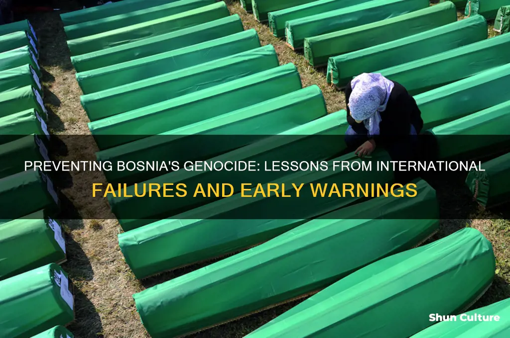 how could genocide in bosnia been prevented