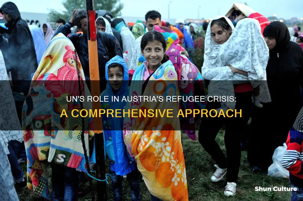 how could the un help austria with the refugee