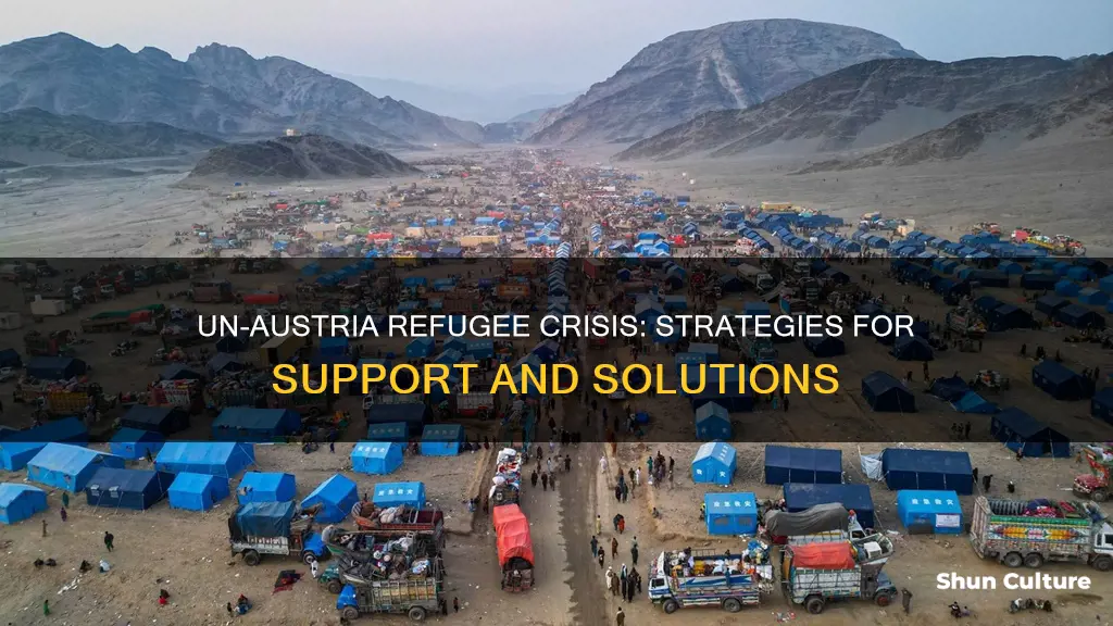 how could the un help austria with the refugee