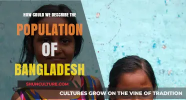 Exploring Bangladesh's Diverse Population: Demographics, Culture, and Growth Trends