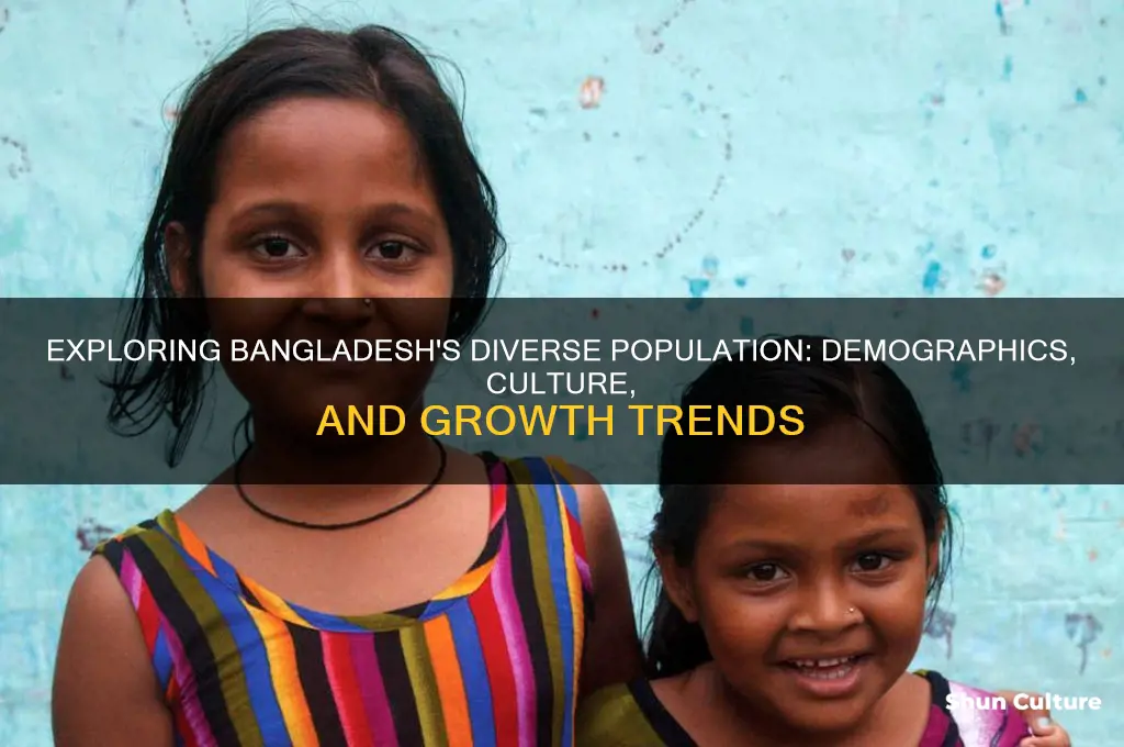 how could we describe the population of bangladesh