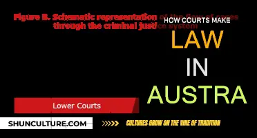 Australian Courts: Law-Making Power Explained