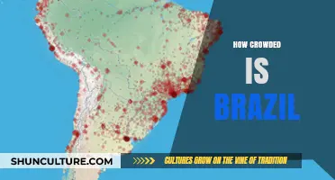 Exploring Brazil's Population Density: How Crowded is the Country?
