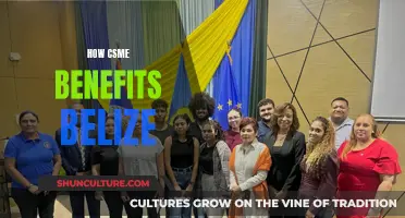 Belize's CSME Membership: Benefits and Opportunities