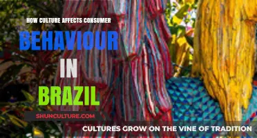 Cultural Influences on Brazilian Consumer Behavior: Trends and Insights