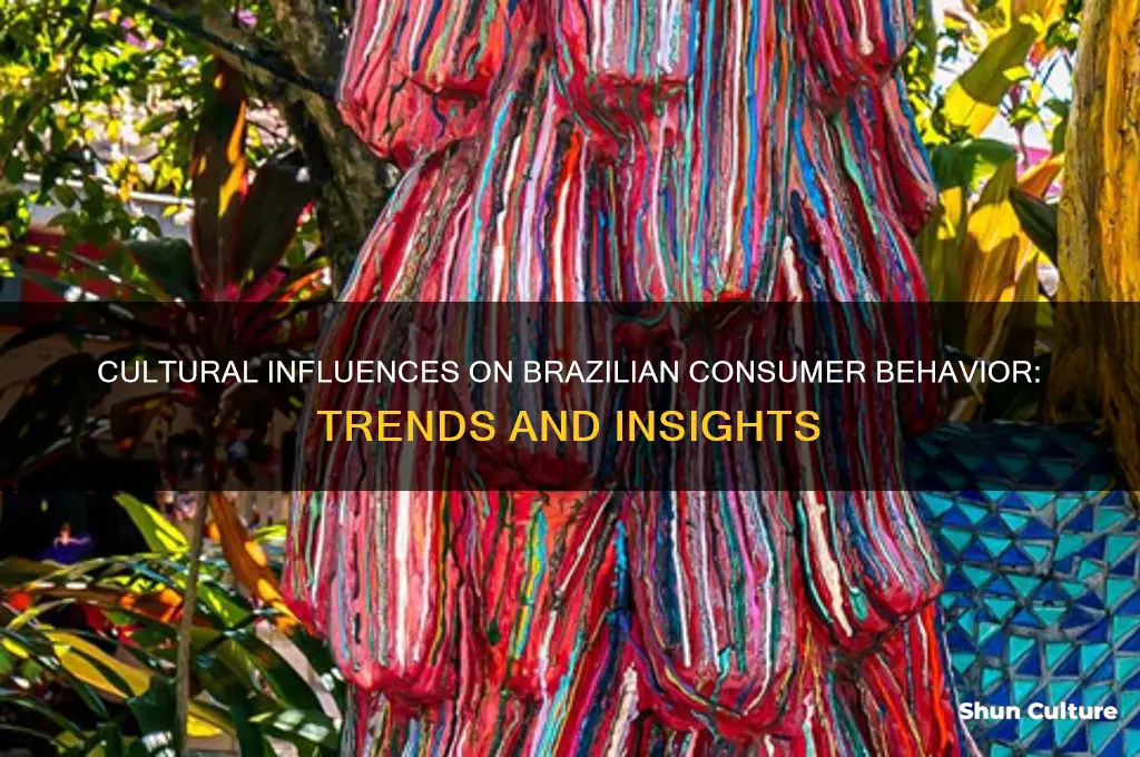 how culture affects consumer behaviour in brazil
