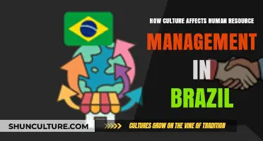 Cultural Influences on HR Practices in Brazil's Diverse Workforce