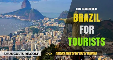 Exploring Brazil's Safety: Risks, Realities, and Tips for Tourists