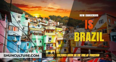 Exploring Brazil's Safety: Risks, Realities, and Travel Tips