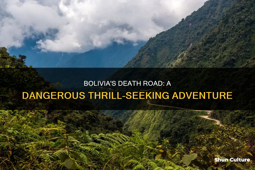 how dangerous is death road bolivia