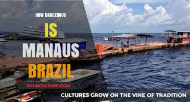 Exploring Manaus, Brazil: Unveiling the City's Hidden Dangers and Safety Tips