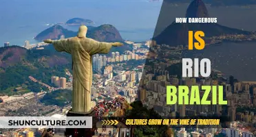 Rio's Risks: Navigating Safety in Brazil's Iconic City