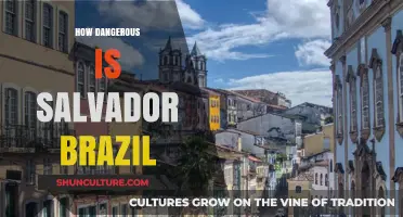 Exploring Salvador, Brazil: Unveiling the City's Safety Concerns and Realities