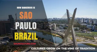 Exploring São Paulo's Safety: Risks, Realities, and Staying Secure in Brazil